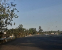 ขายที่ดิน 15-1-80 ไร่ อยู่ติดถนน ชยางกูร และใกล้แหล่งท่องเที่ยว