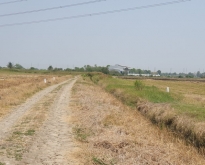 ขายที่ดินบางปะกงฉะเชิงเทรา