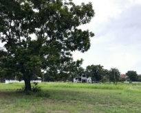 ขายที่ดินแปลงสวยริมน้ำ หมู่บ้าน THE LAGOON อ.สามโคก ปทุมธานี