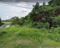 ขายที่ดิน ตำบลวิชิต อำเภอเมืองภูเก็ต จังหวัดภูเก็ต