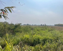 ขายที่ดิน 51-2-65.7 ไร่ ติดถนนดอยสะเก็ด ฝั่งขาเข้าเมือง เชียงใหม่
