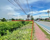 ขายที่ดินถนนคลองชลประทาน แยกราชพฤกษ์เชียงใหม่