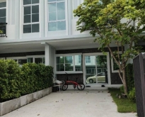 เช่าทาวน์โฮมหลังมุม indy บางนา-รามคำแหง2