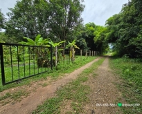 ขายที่สวนแถมบ้าน 3 หลัง บรรยากาศดี ต.ศรีกระอางค์ อ.บ้านนา จ.นครนา