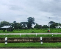 ขายที่ดิน 2-3-41.2 ไร่ ทำเลดีมากติดถนนเลียบคลองชลประทาน