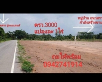ขายที่ดินติดถนน อำเภอเมือง จังหวัดนครราชสีมา เนื้อที่ 1 ไร่
