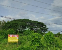 ขายที่ดิน 5-2-38 ไร่ ติดถนนเลี่ยงเมืองสาย210
