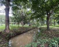 ที่ดินในเมืองมีน้ำไหลผ่านร่มรื่นด้วยต้นไม้ใหญ่บรรยากาศส่วนตัว