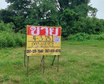 ขายที่ดิน 4-3-72 ไร่  ติดถนน อ.หนองวัวซอ จ.อุดรธานี