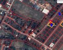 ขายที่ดิน65ว.เริ่ม270,000บ. 3แปลง ต.หนองหนาม อ.เมือง ลำพูน