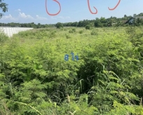 ขายที่ดิน 8ไร่ แปลงยาว ฉะเชิงเทรา ติดถนน