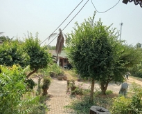 ขายที่ดิน  3 แปลง รวม 7-2-33 ไร่ ท่ามะกา กาญจนบุรี ใกล้แหล่งท่องเ