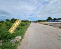 ขายที่ดินหนองบอนแดงบ้านบึงชลบุรี