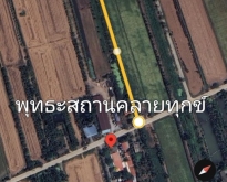 ขายที่ดินไทรน้อยนนทบุรี เนื้อที่ 500 ตร.วา