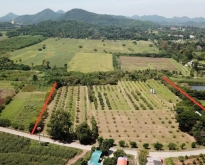 BL146 ที่ดินสวยๆ ขายที่ดินเขาใหญ่ ปากช่อง จ. นครราชสีมา
