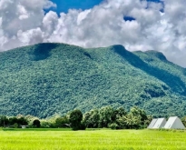 ขายที่ดินพร้อมบ้านพักกิจการรีสอร์ทวิวดอยหลวง และดอยนาง อ.เชียงดาว