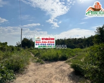 ที่ดินซอยโรงนา1 (ใกล้โรงเรียนบวรวิทยา2) พระนครศรีอยุธยา เนื้อที่ 160 ต