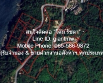 ขายที่ดินเปล่าบนภูเขา และวิวทะเล ต.กมลา อ.กะทู้ จ.ภูเก็ต 2 ไร่