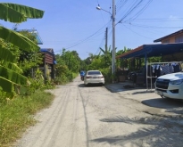 ขายที่ดิน ที่ดิน ลาดกระบัง