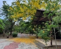 PB4573 ขายที่ดินริมแม่น้ำแม่กลอง พื้นที่ตามโฉนด 1ไร่ 3 งาน 99 ตาร