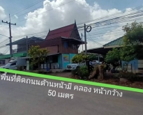 ที่ดินพื้นที่ 120 ไร่ ตำบล พยอม อำเภอ วังน้อย จังหวัด อยุธยา
