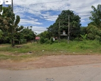 ขายที่ดิน สวยทำเลทอง เมืองหนองคาย ใกล้วัดสามัคคี ทำเลดี อยู่ในแหล่งชุม