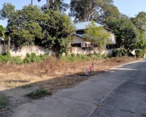 ขายที่ดิน43ว.769,000บ. ใกล้ถนนต้นยาง ต.ยางเนิ้ง สารภี เชียงใหม่