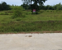 ขายที่ดิน อำเภออรัญประเทศ จังหวัดสระแก้ว