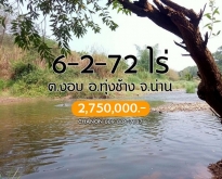 ขายที่ดินริมแม่น้ำน่าน สวนผลไม้ เงาะ อะโวคาโด้ บรรยากาศริมแม่น้ำน