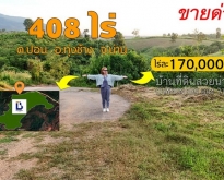 ขายที่ดินเนื้อที่ติดถนนทุ่งช้าง-เฉลิมพระเกียรติ 408-3-54 ไร่