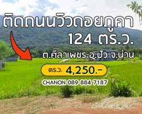 ที่ดินติดถนนใหญ่วิวดอยภูคา ทำเลสวย ติดถนน