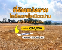 ที่ดินแบ่งขายทำเลทอง ศักยภาพสูง ราคาสุดคุ้ม ใกล้กลางใจเมืองน่าน