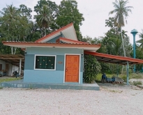 ขายชั้นเดียวบ้าน พร้อมที่ดิน  128 ตร.วา  ต.วังใหม่ อ.ป่าบอน จ.พัท