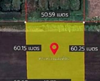 ที่ดินเปล่า เลียบคลอง9 ต.บึงชำอ้อ อ.หนองเสือ จ.ปทุมธานี