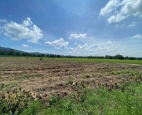 ขายที่ดินบางพระ ศรีราชา ชลบุรี
