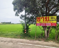 ที่ดินเปล่า 101-2-90 ไร่ ไทรน้อย นนทบุรี แปลงสวย ขายราคาพิเศษ 3ล.