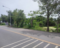 ขายที่ดิน 7-2-55.9 ไร่ ต.คู้สลอด อ.ลาดบัวหลวง จ.อยุธยา แปลงสวย
