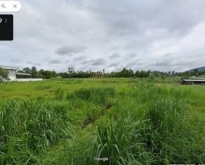 ขายที่ดินหุบบอน ศรีราชา ชลบุรี