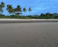 ทรัพย์คุ้มค่าราคาดีจับต้องได้  หาดฝั่งแดง ไร่ล่ะ3.5 ล้านบาท