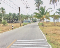 ขายที่ดินทําเลสวยมาก!! ติดทะเลบ้านทอน !!