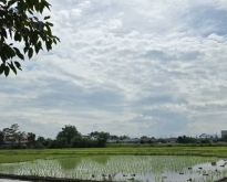 ขายที่ดินแปลงสวย 6-1-86 ไร่ ทำเลดีใกล้โรงเรียนนานาชาติลานนาอินเตอร์