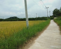 ขายที่ดินสวย บ้านป่าตาล ต.บ้านธิ อ.บ้านธิ จ.ลำพูน