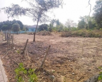 ขายที่ดินห้วยใหญ่ บางละมุง ชลบุรี