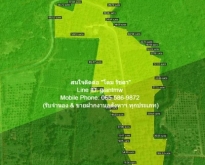 ขายที่ดินสวนผลไม้ปลอดสารพิษ อ.ประจันตคาม จ.ปราจีนบุรี 57-0-90.4 ไ