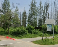 ขาย ที่ดินสวยมาก ติดหาดแก้วบรรยากาศเงียบสงบ เหมาะสำหรับทำโครงการโ