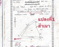 #ขายที่ดิน ต.บ้านตุ่น อ.เมือง จ.พะเยา ห่างจาก อบต.บ้านตุุ่น500 เม