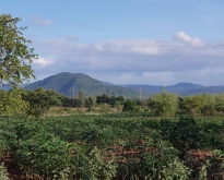 ขายด่วนบ้านพร้อมที่ดิน 64 ไร่ ต.รางบัว อ.จอมบึง จ.ราชบุรี