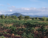 ขายด่วนบ้านพร้อมที่ดิน 64 ไร่ ต.รางบัว อ.จอมบึง จ.ราชบุรี