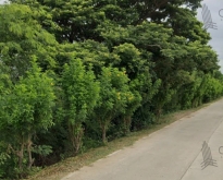 ขาย ที่ดินเปล่า 1 ไร่ 121 ตร.วา ใกล้ที่ว่าการอ.มหาราช
