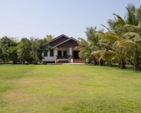 ขายที่ดิน บ้านสวน หนองตอง หางดง เชีบงใหม่
